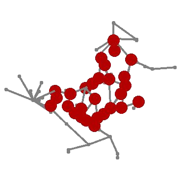 Growth Simulation of Hydractinia echinata Growth Simulation of Hydractinia echinata
