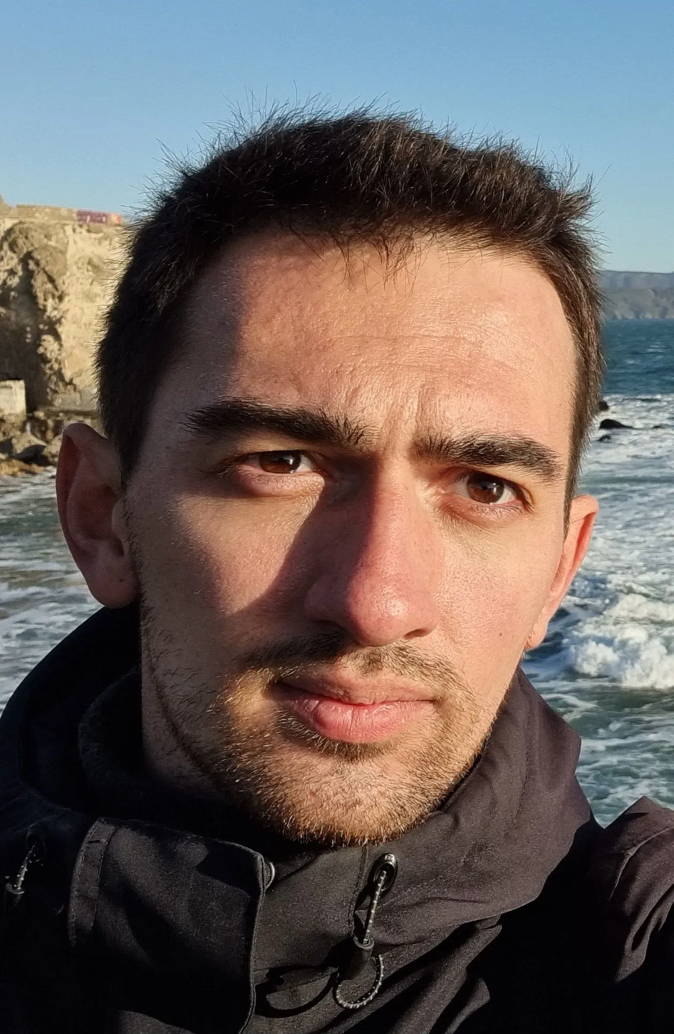 Andrei Kostritskii Andrei Kostritskii