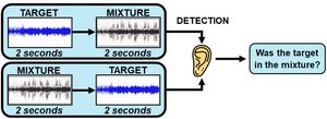 Detection task