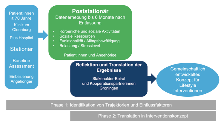 Das Schaubild zeigt den Ablauf eines zweiphasigen Projekts zur Entwicklung eines Konzepts für Lifestyle-Interventionen bei Patient:innen ab 70 Jahren. Es beginnt links mit einer blauen Box, die die stationäre Datenerhebung beschreibt: Patient:innen werden während des Krankenhausaufenthalts einem Baseline-Assessment unterzogen, bei dem auch Angehörige einbezogen werden. Rechts daneben, in einer grünen Box, folgt die poststationäre Datenerhebung, in der Daten zu körperlichen und sozialen Aktivitäten, sozialen Ressourcen, Funktionalität, Alltagsbewältigung, Belastung und Stresslevel bis zu sechs Monate nach Entlassung erhoben werden. Diese Daten werden mit Patient:innen und Angehörigen erhoben. Darunter, in einer dunkelblauen Box, wird die Reflexion und Translation der Ergebnisse durch ein Expertenteam beschrieben. Der Prozess endet rechts in einer hellblauen ovalen Form, die ein gemeinschaftlich entwickeltes Konzept für Lifestyle-Interventionen darstellt. Unten wird der Ablauf in zwei Phasen gegliedert: „Identifikation von Trajektorien und Einflussfaktoren“ und „Translation in Interventionskonzept“.