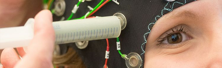 Banner 2