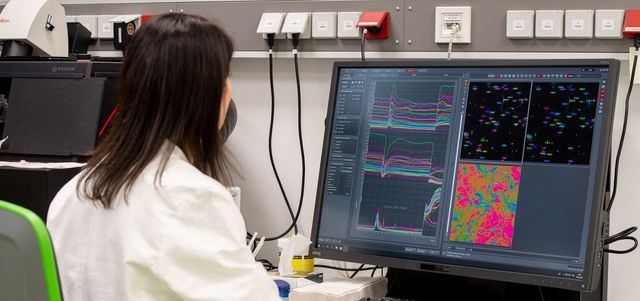 Joint MD/PhD Programme Groningen-Oldenburg