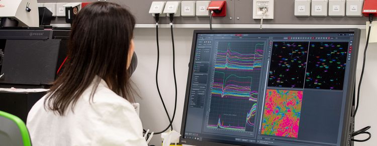Joint MD/PhD Programme Groningen-Oldenburg