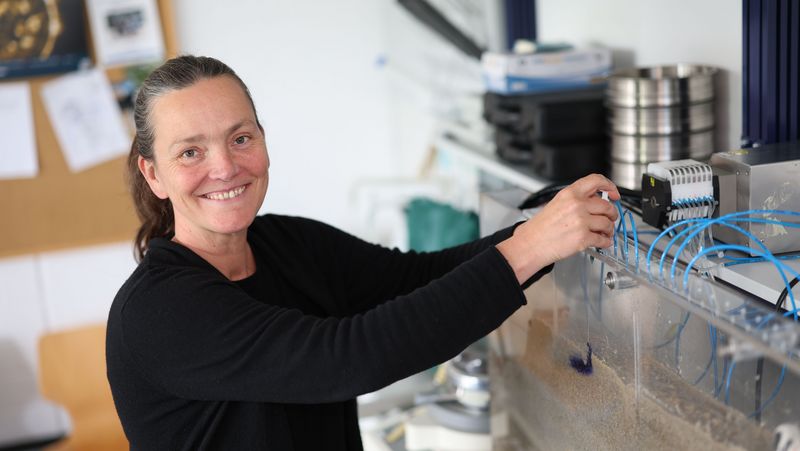 Die Forscherin ist neben einem Modell zu sehen: EIn großer Plexiglaskasten, indem sich verschiedene Sedimentschichten befinden. Gefärbtes Wasser macht sichtbar, wie das Grundwasser strömt.