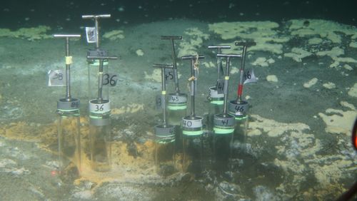 Auf dem Bild ist Meeresboden in der Tiefsee zu sehen. Das gräuliche Sediment ist teils von gelben Schwefelkrusten bedeckt. Im Boden stecken einige Glasröhren, die mit KLebestreifen und Nummern gekennzeichnet sind. 