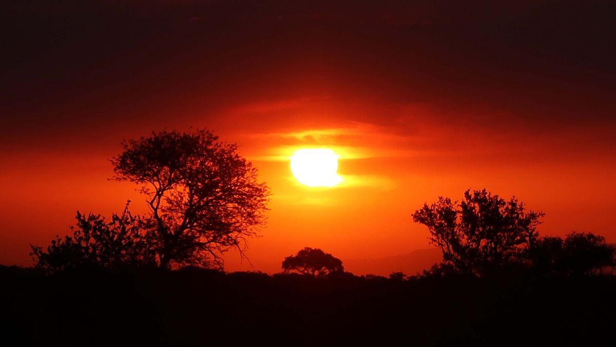 Das Bild zeigt einen dramatischen Sonnenaufgang oder Sonnenuntergang über einer afrikanischen Landschaft. Die Sonne strahlt hell und rund hinter Silhouetten von Bäumen und Büschen. Der Himmel ist in leuchtenden Rot- und Orangetönen gefärbt, was eine warme und intensive Atmosphäre erzeugt. Im Hintergrund sind schemenhaft Berge zu erkennen. Es ist nicht eindeutig zu erkennen, ob es sich um den Beginn oder das Ende des Tages handelt.