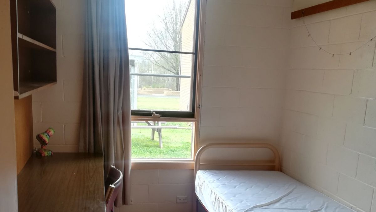 Das Bild zeigt einen einfachen Studierendenwohnheimraum an der University of New England. Ein Einzelbett steht an einer Wand, neben einem Schreibtisch und einem Regal. Ein Fenster mit Blick auf eine grüne Rasenfläche und andere Gebäude der Universität befindet sich an der gegenüberliegenden Wand. Die Wände sind weiß gestrichen und aus Ziegeln, und der Raum wirkt funktional und zweckmäßig.