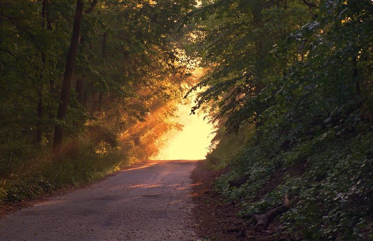 news: All nature?