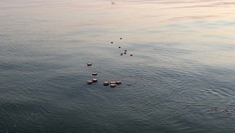 Drifters floating on the sea surface 