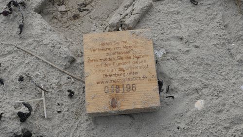A wooden board covered in sand lies on the beach.