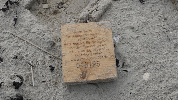 A wooden board covered in sand lies on the beach.