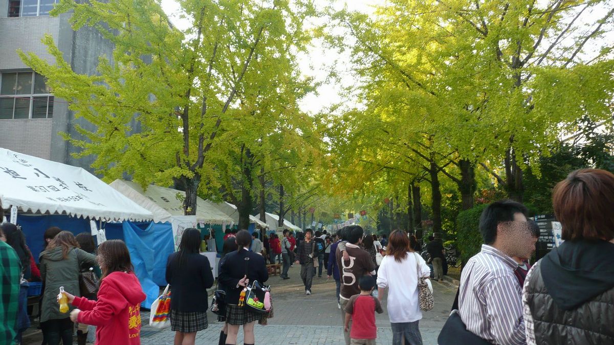 Das Bild zeigt das Kagoshima University Festival mit vielen Menschen, die zwischen Ständen und Zelten entlangschlendern. Im Hintergrund sind Bäume mit gelbem Herbstlaub zu sehen. Die Atmosphäre wirkt festlich und lebhaft.