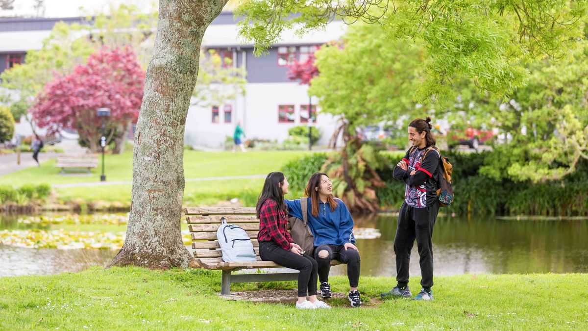 Das Bild zeigt drei junge Menschen, die sich auf dem Campus der University of Waikato unter einem Baum und neben einem kleinen Teich unterhalten