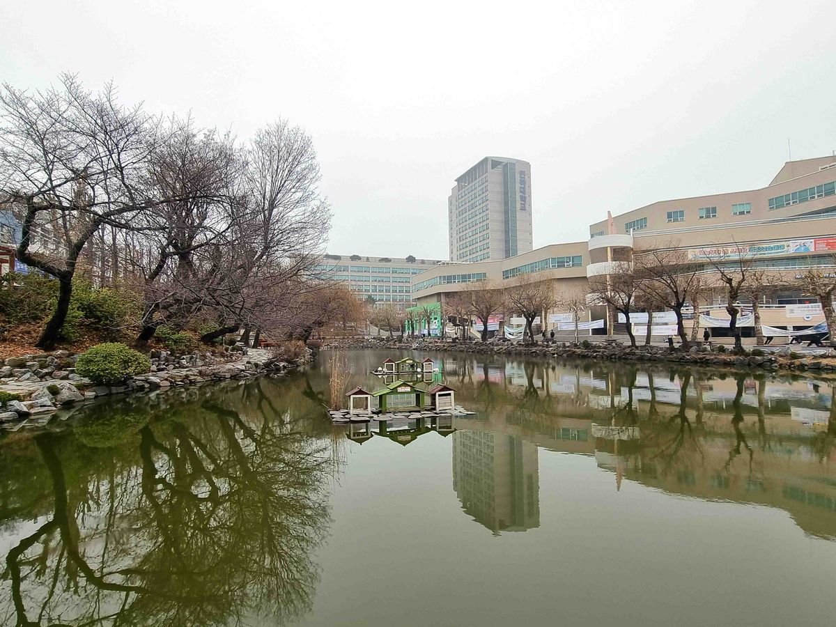 Das Bild zeigt einen kleinen Teich oder See auf dem Campus der Inha University. Im Wasser stehen mehrere kleine Häuschen, vermutlich für Enten. Im Hintergrund sind Gebäude und Bäume zu sehen, die sich im Wasser spiegeln.