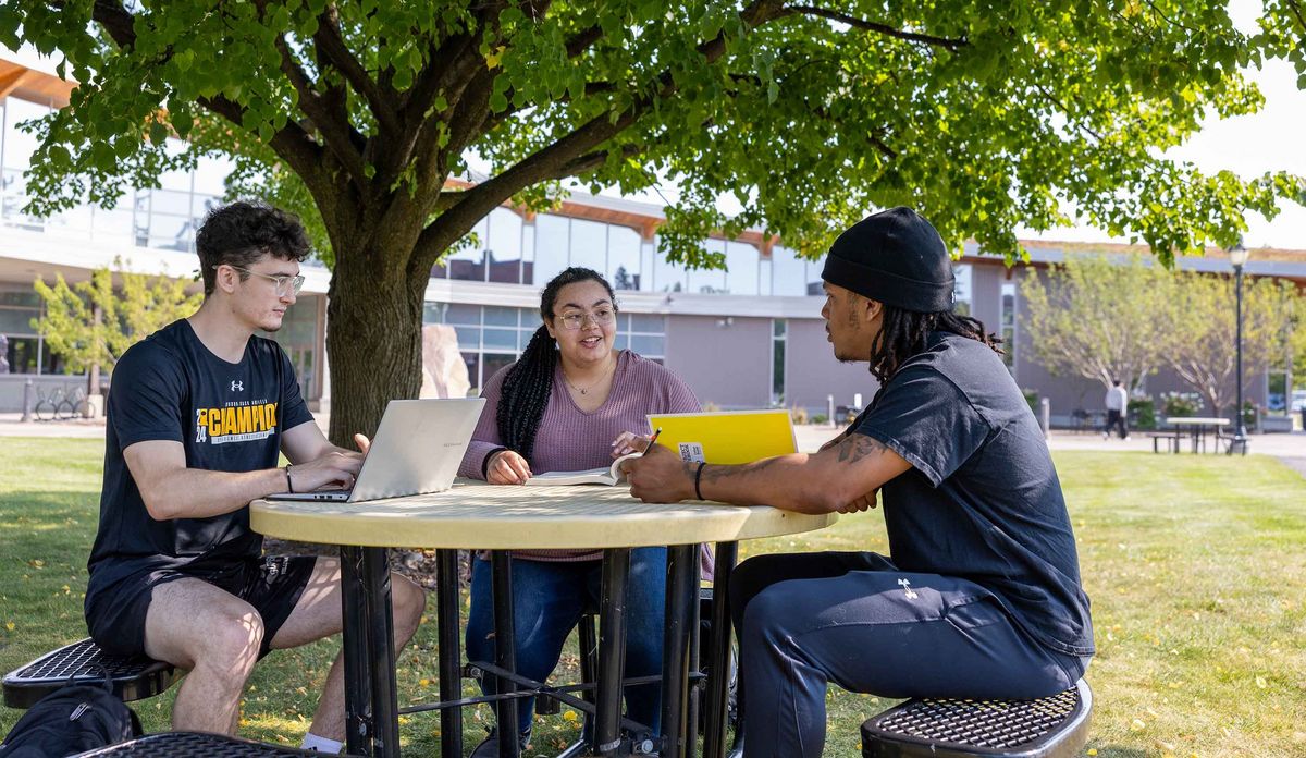 University of Wisconsin–Superior Drei Studierende sitzen an einem Tisch im Freien und lernen. Bäume und Gebäude der UWS im Hintergrund.