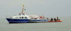 DSC04234b-crop-600x264