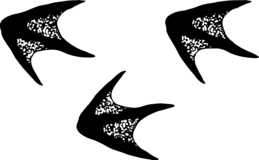 gefreht_FS_Logo_Fuesschen_detailliert_schwarz-invers-.png