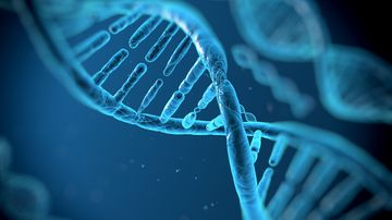 Representation of a part of the DNA double helix