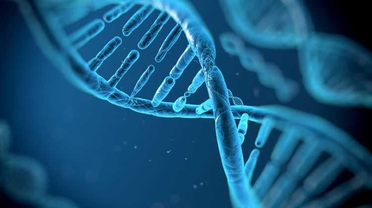 Darstellung der DNA-Doppelhelix