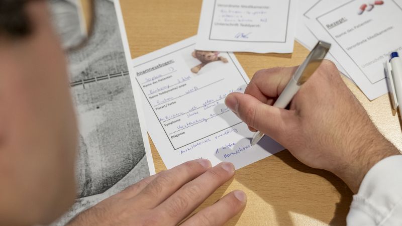 Über die Schulter eines Mannes im Kittel fotografiert. Er füllt einen kleinen Anamnesebogen aus. Dort steht: Einhorny hat sich das Horn verstaucht. 1 Woche Hornschonung.