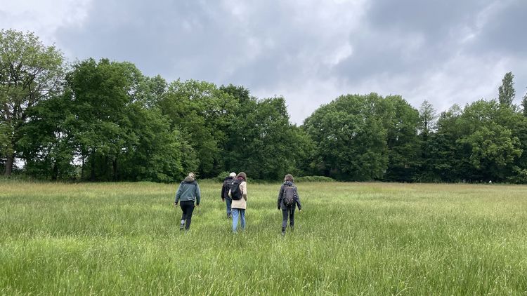 Landschaftsaufnahme der Wiese in der Haarenniederung. Im Hintergrund sind Bäume zu sehen, der Himmel ist wolkenverhangen. In der Mitte ist eine Gruppe von Menschen von hinten zu sehen, die durch die gräser stapfen.
