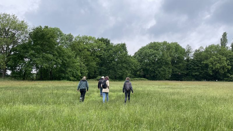 Landschaftsaufnahme der Wiese in der Haarenniederung. Im Hintergrund sind Bäume zu sehen, der Himmel ist wolkenverhangen. In der Mitte ist eine Gruppe von Menschen von hinten zu sehen, die durch die gräser stapfen.