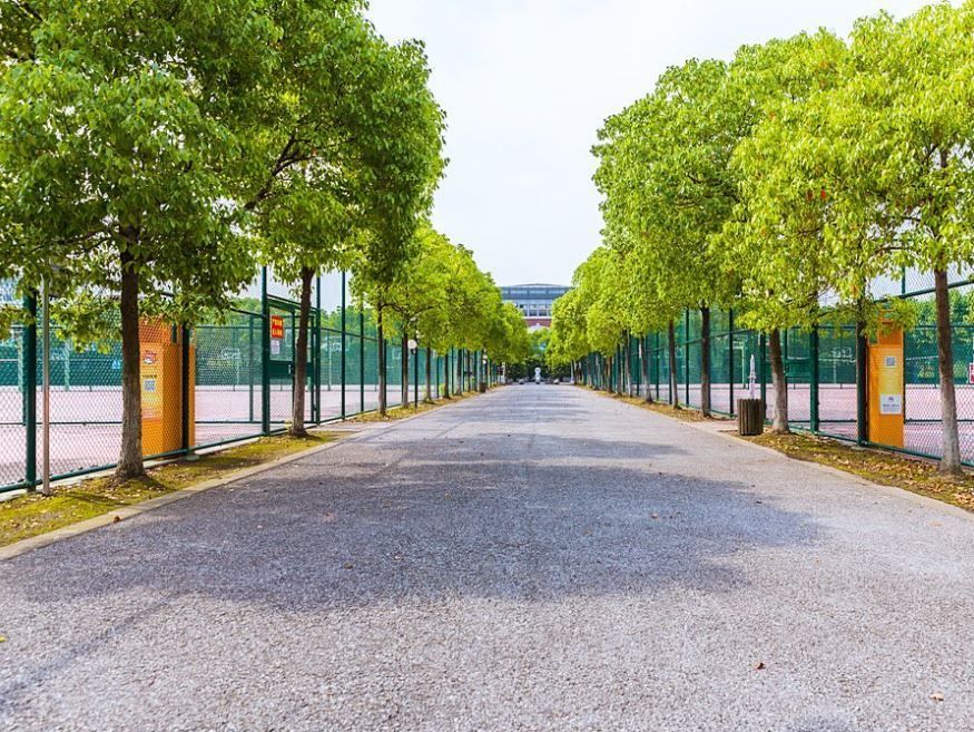 Ein Schotterweg, rechts und links ein Drahtzaun und Bäume. 
