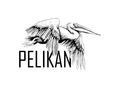 Das Bild zeigt das Logo der PELIKAN-Gruppe. Darauf sieht man eine schwarz-weiße Zeichung eines Pelikans und darunter den Schriftzug "PELIKAN".