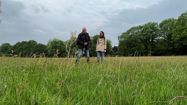 Landschaftsfoto einer ungemähten Wiese in der Haarenniederung mit Bäumen im HIntergrund. In der Mitte des Bildes ist aus der Entfernung Hochschullehrer Rainer Buchwald und die Studentin Sarah Höbel zu sehen. Der Himmel ist wolkenverhangen.