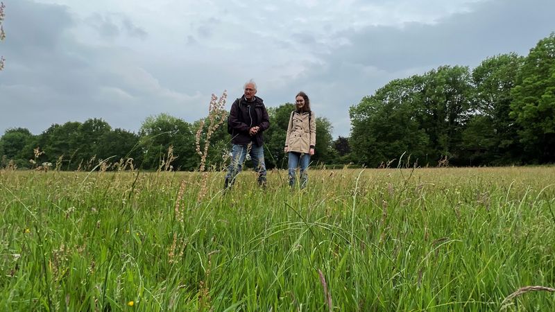 Landschaftsfoto einer ungemähten Wiese in der Haarenniederung mit Bäumen im HIntergrund. In der Mitte des Bildes ist aus der Entfernung Hochschullehrer Rainer Buchwald und die Studentin Sarah Höbel zu sehen. Der Himmel ist wolkenverhangen.