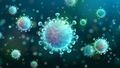 The image shows a microscopic picture of a coronavirus. Its spike proteins can also be recognised.