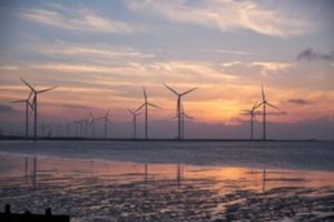 Bild: Windräder im Meer
