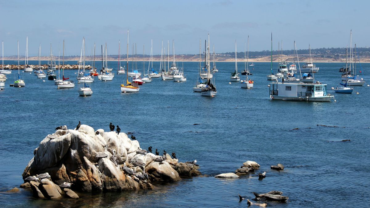 Hafen