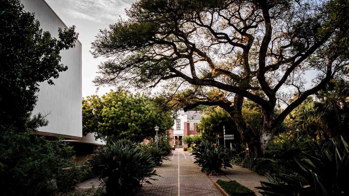 Ein gepflasterter Weg führt durch einen grünen Campus der University of Pretoria. Hohe Bäume säumen den Weg, und im Hintergrund ist ein Gebäude mit roten Ziegelsteinen zu sehen. Der Himmel ist bewölkt.