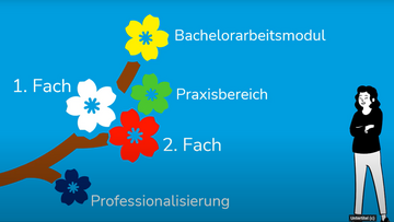 Studienvorgaben Visualisierung