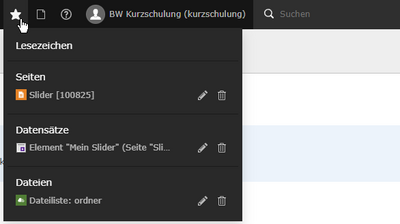 Screenshot TYPO3-Lesezeichen