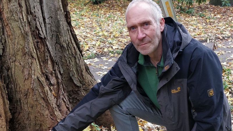 Klaus Reis kniet neben dem Silberahorn.