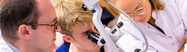Freiwilliges Wissenschaftliches Jahr