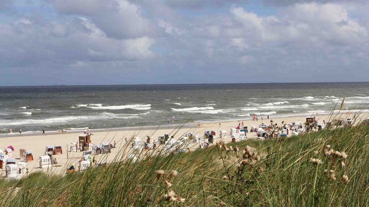 Nordseestrand Ein Strand an der Nordsee mit Dünengebiet und breitem Sandstrand.
