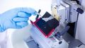 In the picture you can see a machine that cuts tissue samples into wafer-thin cuts.