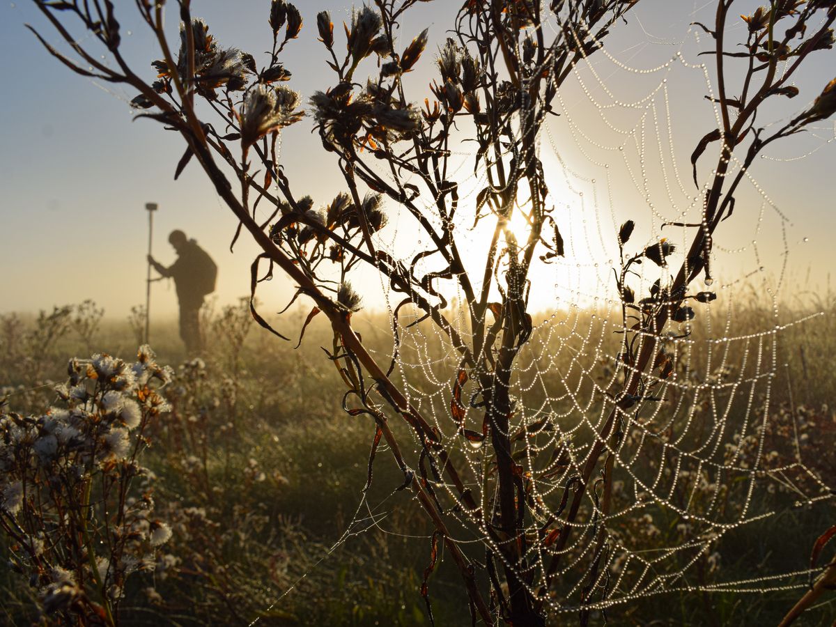 Natur im Fokus — Leandra Nickel — Das Foto hält einen frostig-nebligen Exkursionsmorgen in der Idagrodener Salzwiese fest, an dem wir vom Studiengang Landschaftsökologie den Grundstein für ein neues Forschungsprojekt legten.Mit diversen Proben-, Vegetationsaufnahmen und Messungen (wie der hier abgebildeten Aufnahme von Geodaten per GPS-Antenne) soll die langfristige Veränderung der Salzwiesen im Zuge des Klimawandels untersucht und somit die Grundlage zur Entwicklung möglicher Schutzmaßnahmen dieser immer seltener werdenden Lebensräume geschaffen werden. Ich wählte dieses Bild, da es die Essenz unseres in der Gesellschaft eher unbekannten Berufsfeldes thematisiert: Die Forschung und die Menschen, die sie durchführen verbleiben im Hintergrund, denn das, was sie bewegt – die Natur – steht im Fokus. 