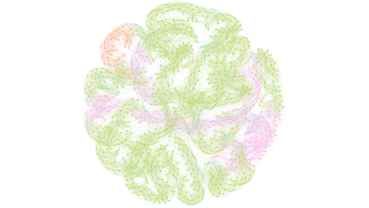 The image shows the network model that Lorenz worked with. Numerous points are linked to different numbers of other points, creating a dense, tapeworm-like bundle. Only those which are ‘honest by conviction’ are randomly distributed across the entire network. All other strategies are more or less grouped together.