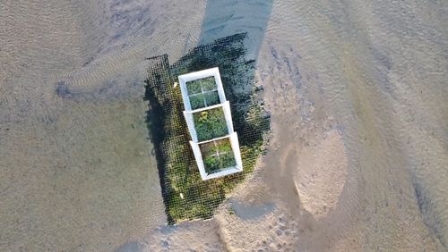 View from above on one of the artifical islands located on the tidals flats off the island of Spiekeroog, East Frisian Wadden Sea. von oben auf eine der künstlichen Inseln im Rückseitenwatt von Spiekeroog.