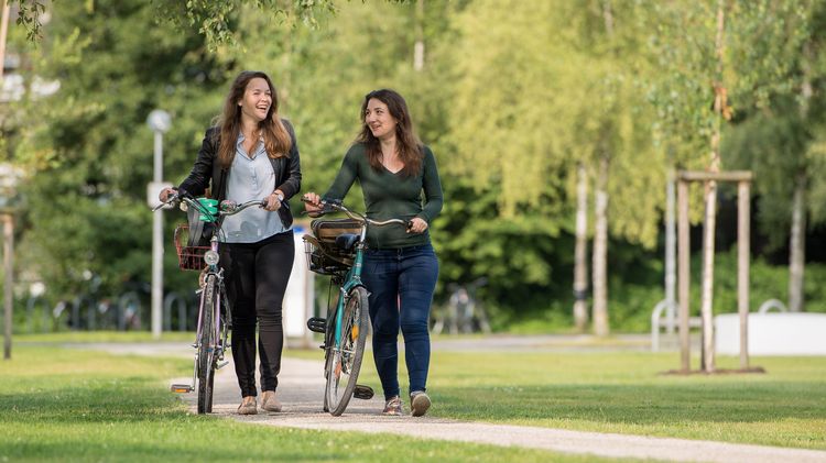 Studienangebot für Austauschstudierende
