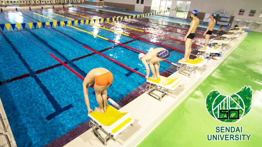 Das Bild zeigt ein helles, blaues Schwimmbecken mit mehreren Startblöcken. Vier Schwimmer stehen auf den Startblöcken, bereit für einen Wettkampf oder ein Training. Im Hintergrund sind weitere Personen im Wasser und am Beckenrand zu sehen, was auf eine aktive Schwimmumgebung hindeutet.