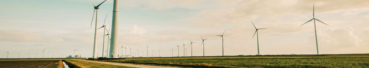 Zeigt mehrere Windräder auf einem Feld.