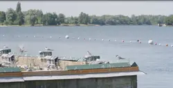  Common terns resting on a ship.