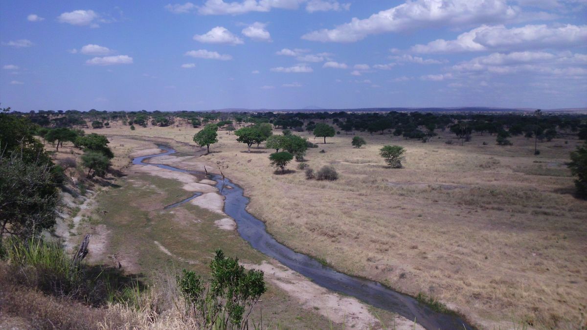 Steppenlandschaft in Tansania