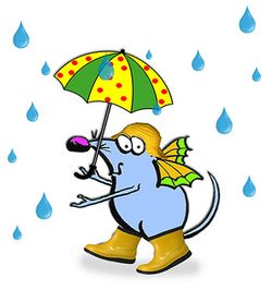 Regen Kuni