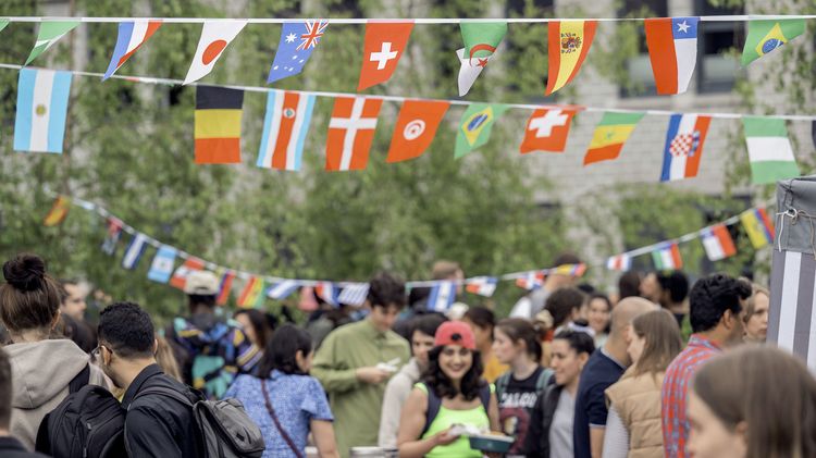 Internationales Sommerfest